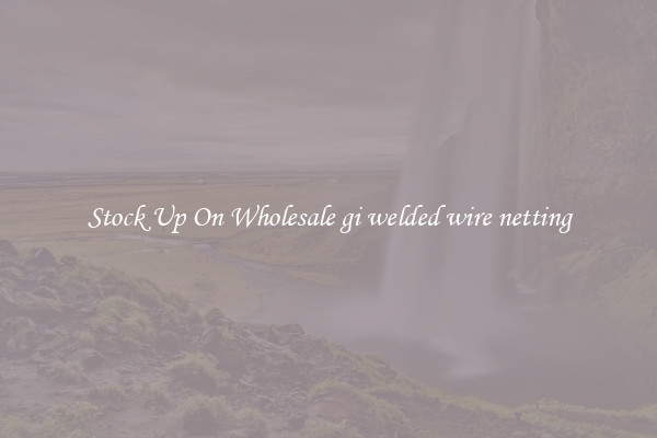 Stock Up On Wholesale gi welded wire netting