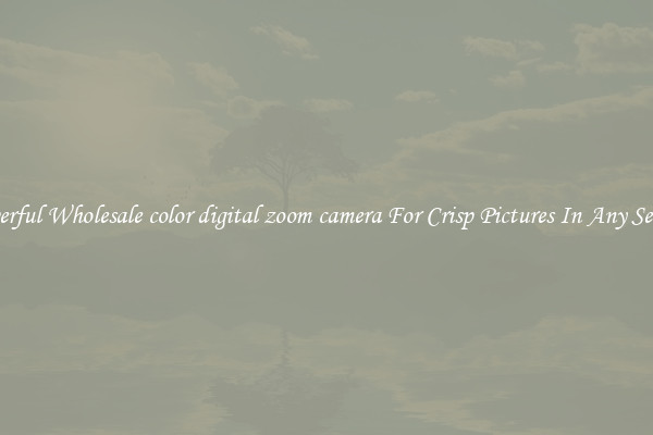 Powerful Wholesale color digital zoom camera For Crisp Pictures In Any Setting