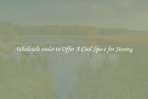 Wholesale rooler to Offer A Cool Space for Storing