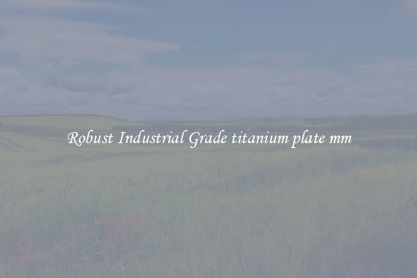 Robust Industrial Grade titanium plate mm