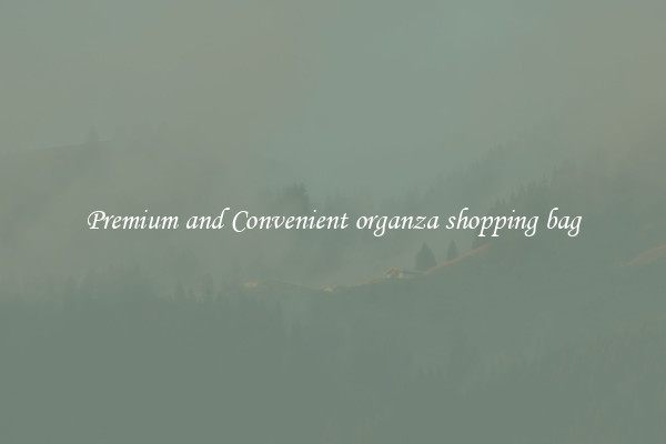 Premium and Convenient organza shopping bag