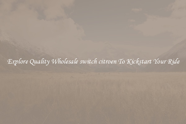 Explore Quality Wholesale switch citroen To Kickstart Your Ride