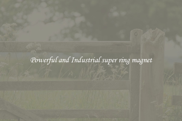 Powerful and Industrial super ring magnet