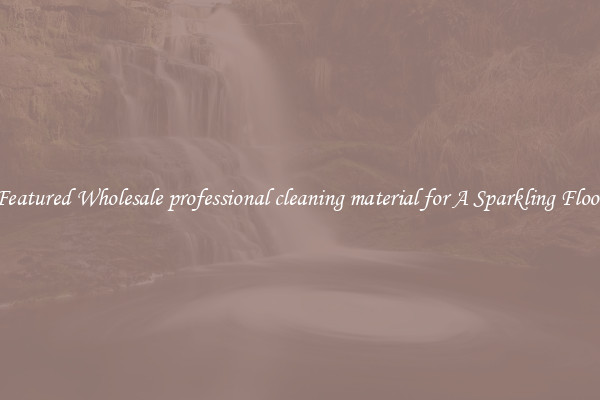 Featured Wholesale professional cleaning material for A Sparkling Floor