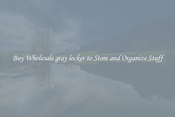 Buy Wholesale gray locker to Store and Organize Stuff