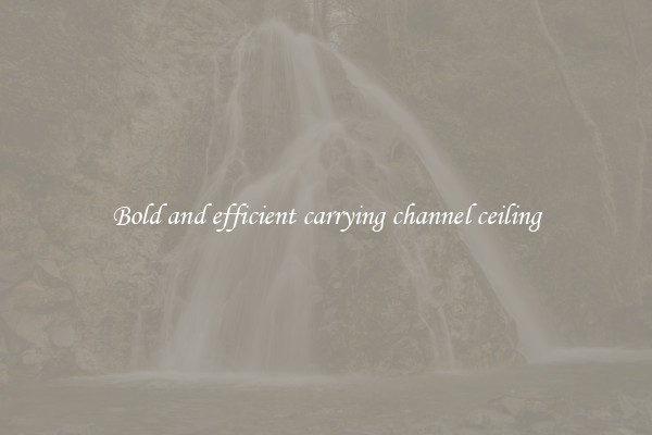 Bold and efficient carrying channel ceiling