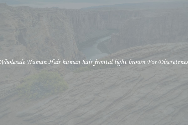 Wholesale Human Hair human hair frontal light brown For Discreteness