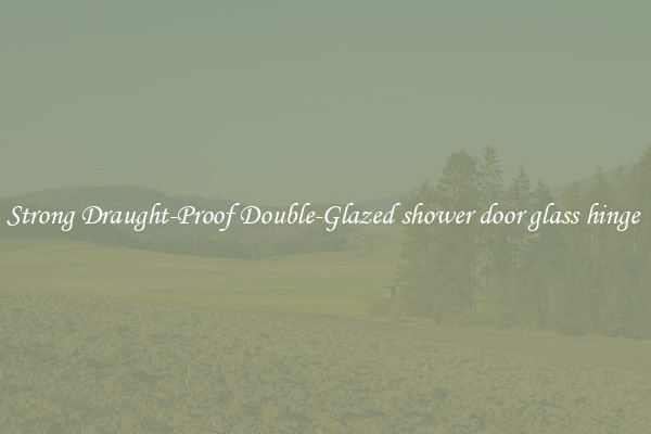 Strong Draught-Proof Double-Glazed shower door glass hinge 