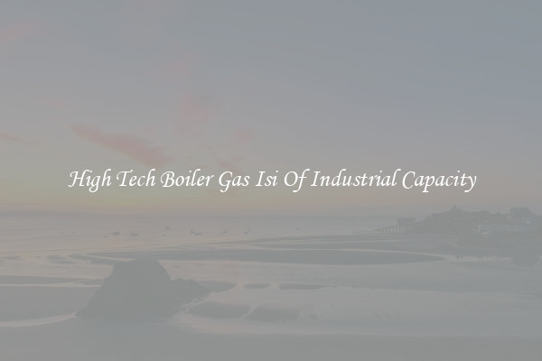 High Tech Boiler Gas Isi Of Industrial Capacity
