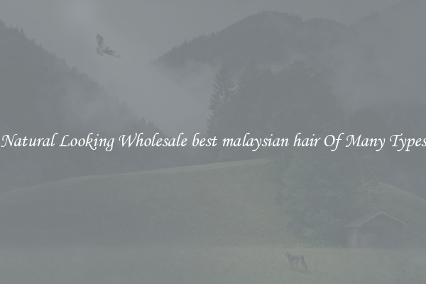 Natural Looking Wholesale best malaysian hair Of Many Types