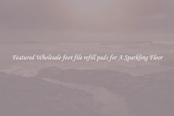 Featured Wholesale foot file refill pads for A Sparkling Floor