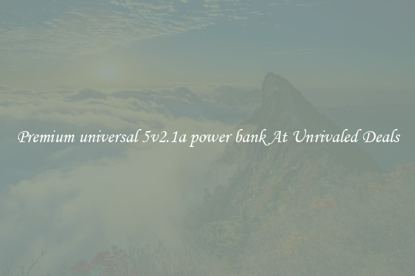 Premium universal 5v2.1a power bank At Unrivaled Deals